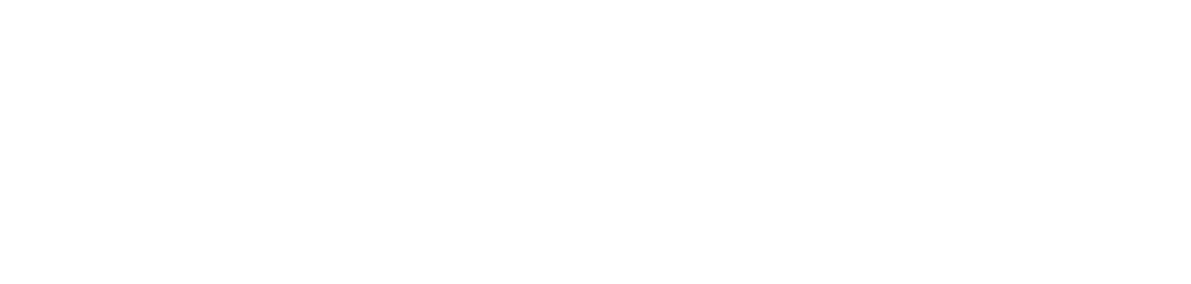 Colibrí Searcher